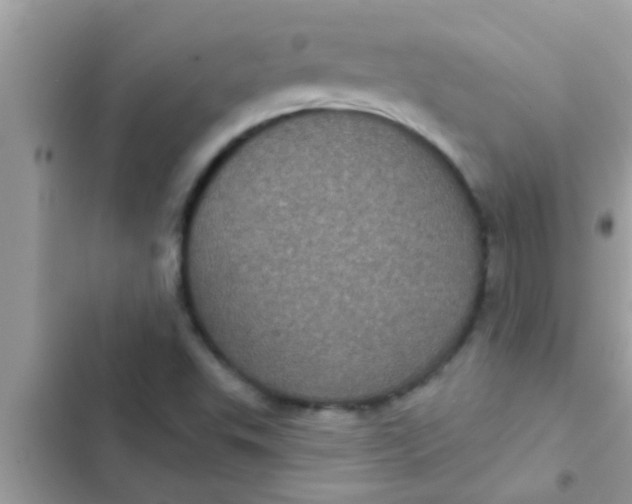 X0000102401503200808151932