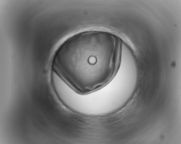 X0000102401504200808151932