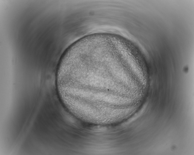 X0000102401505200808151932