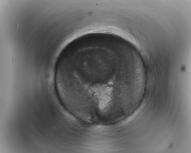 X0000102401506200808151932