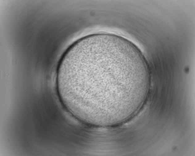 X0000102401507200808151932