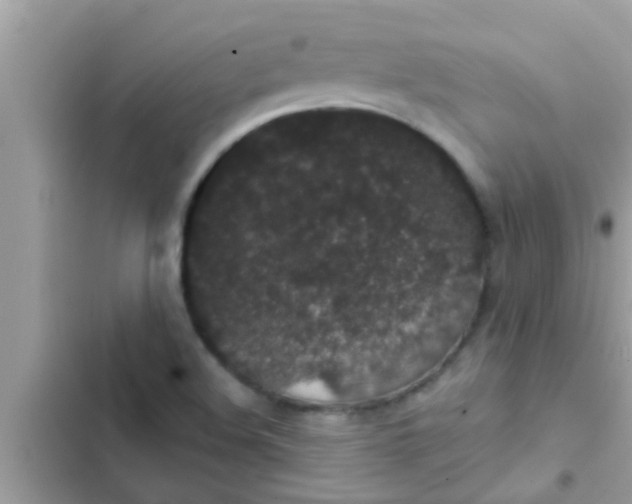 X0000102401508200808151932