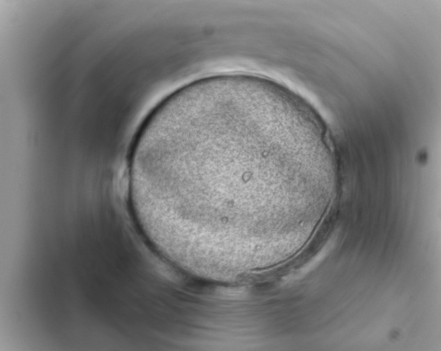 X0000102401509200808151932