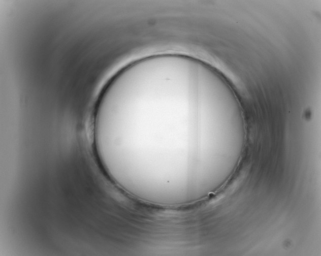 X0000102401510200808151932