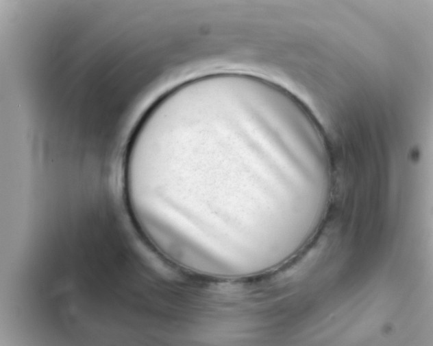 X0000102401511200808151932