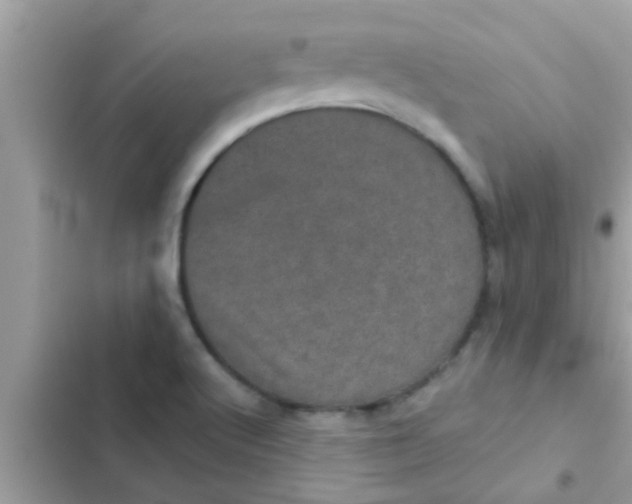 X0000102401512200808151932