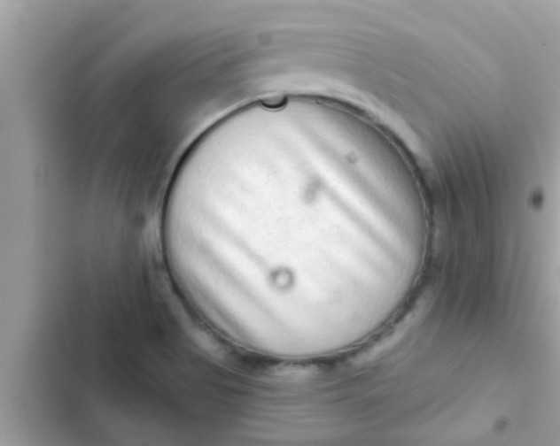 X0000102401513200808151932