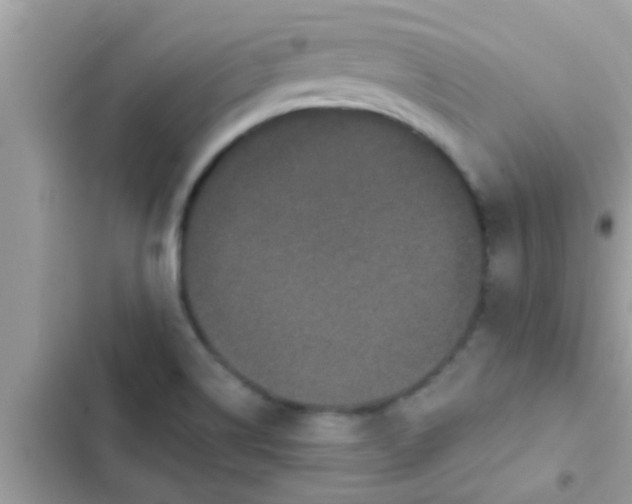 X0000102401514200808151932