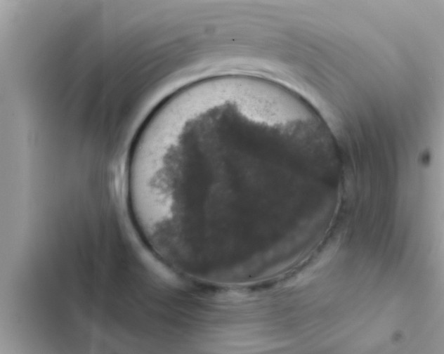 X0000102401515200808151932