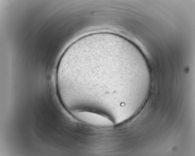 X0000102401516200808151932