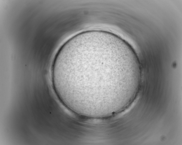 X0000102401517200808151932