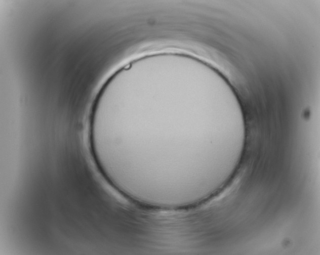 X0000102401518200808151932