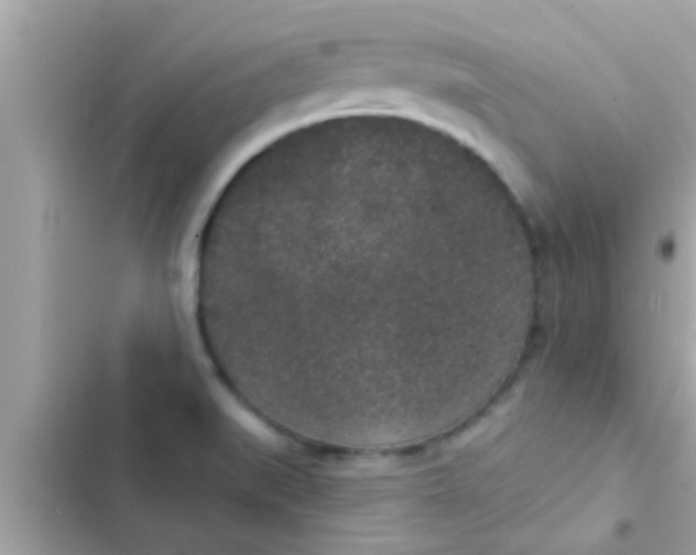 X0000102401519200808151932