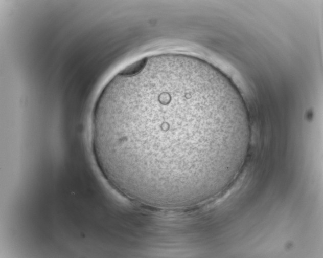 X0000102401520200808151932