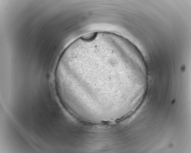 X0000102401521200808151932