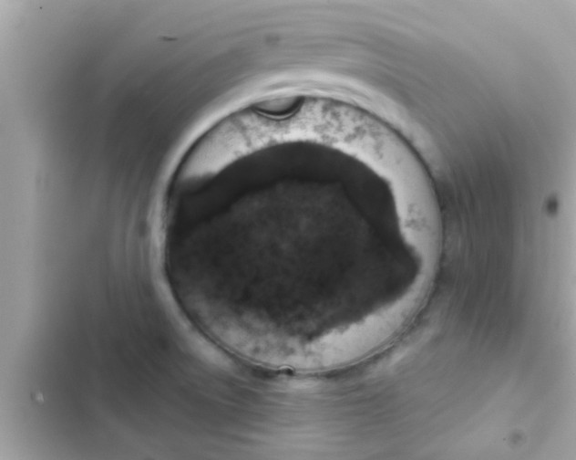 X0000102401522200808151932