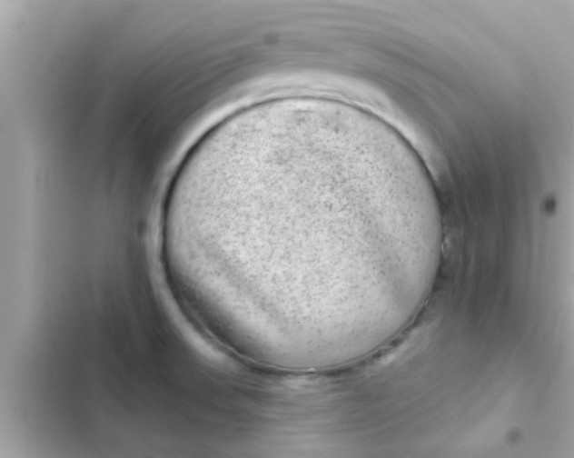 X0000102401523200808151932