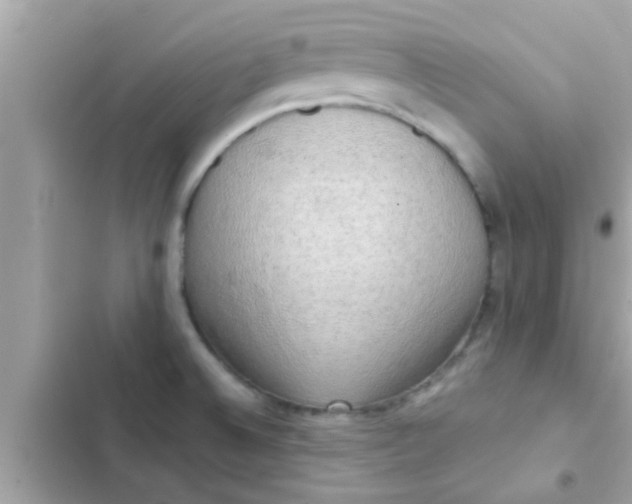 X0000102401524200808151932