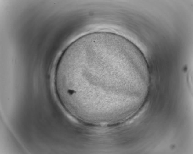 X0000102401525200808151932