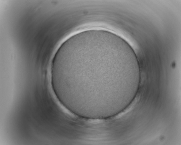 X0000102401526200808151932