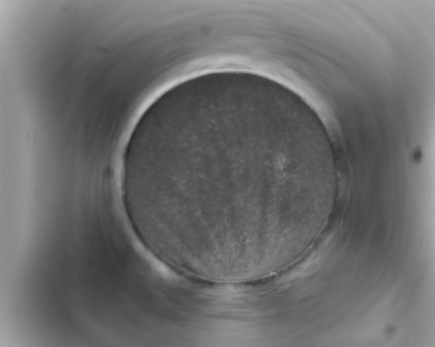 X0000102401527200808151932