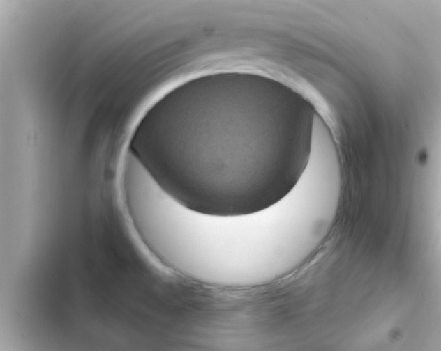 X0000102401528200808151932