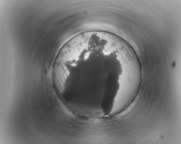 X0000102401529200808151932