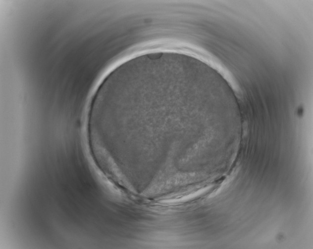 X0000102401530200808151932