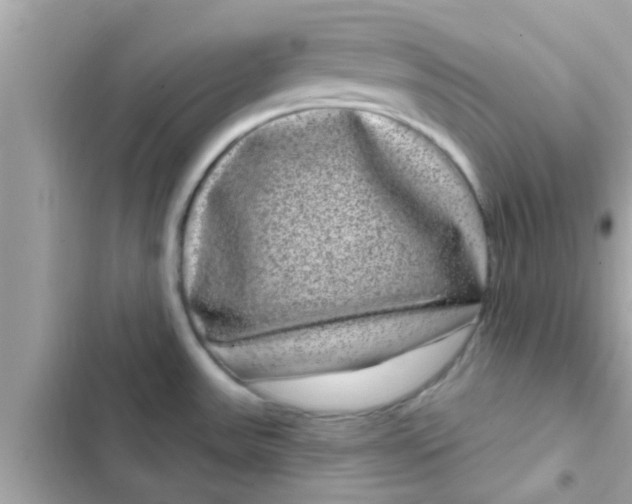 X0000102401531200808151932