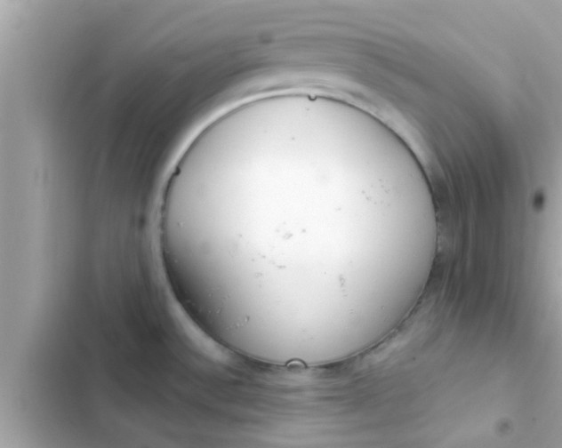 X0000102401532200808151932