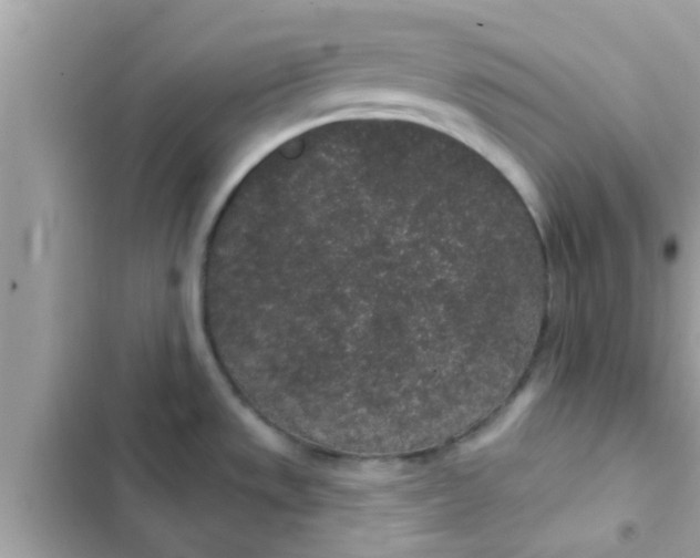 X0000102401533200808151932