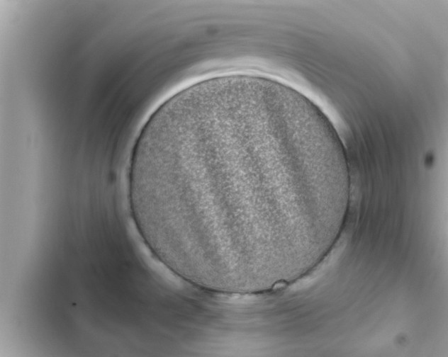 X0000102401534200808151932