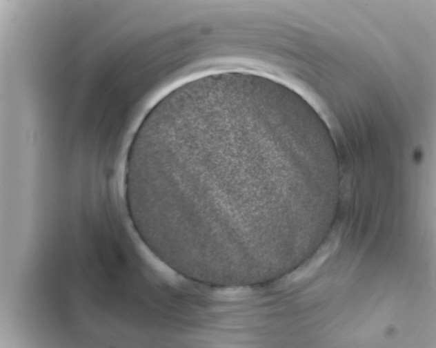 X0000102401535200808151932