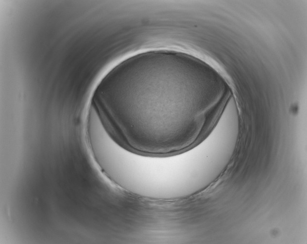 X0000102401536200808151932