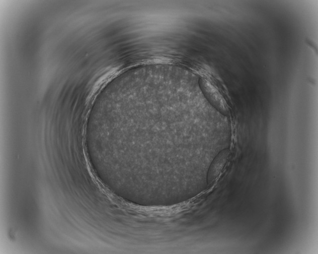 X0000102400001200808221859
