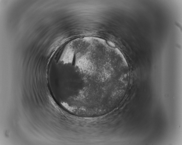 X0000102400002200808221859