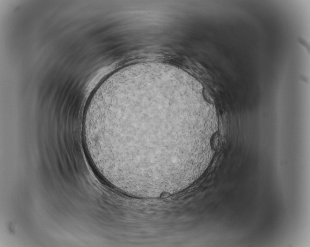 X0000102400003200808221859