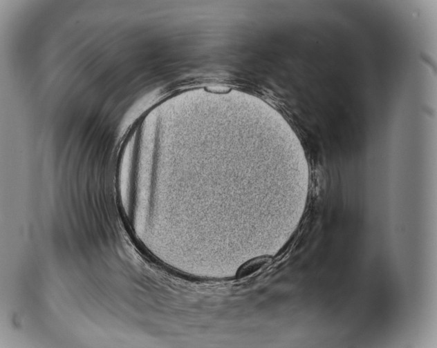 X0000102400004200808221859