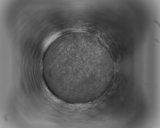 X0000102400005200808221859