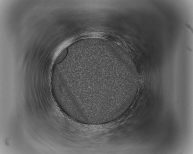 X0000102400006200808221858