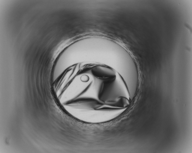 X0000102400007200808221858