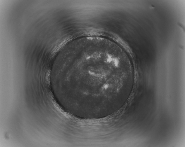 X0000102400009200808221858