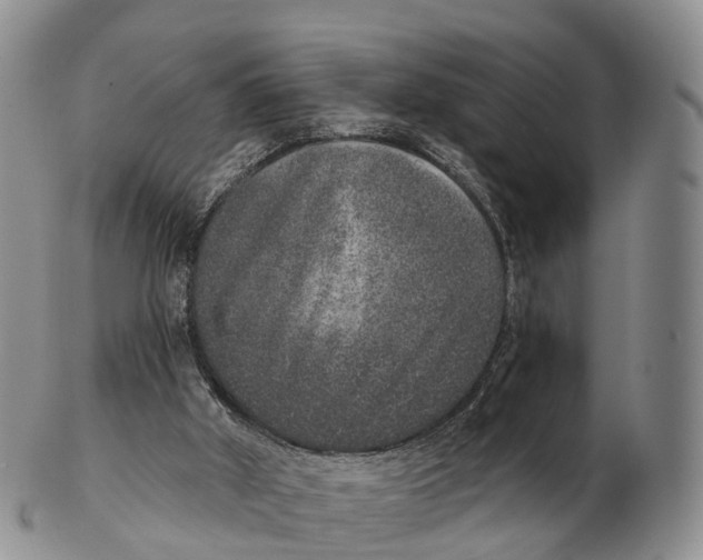 X0000102400010200808221858