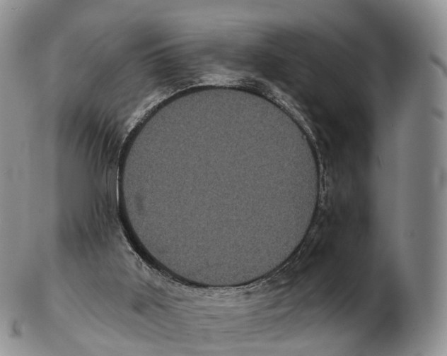 X0000102400011200808221858