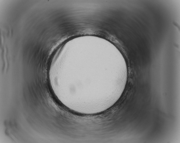 X0000102400012200808221858