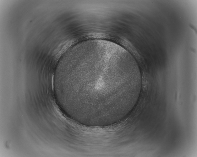 X0000102400014200808221858