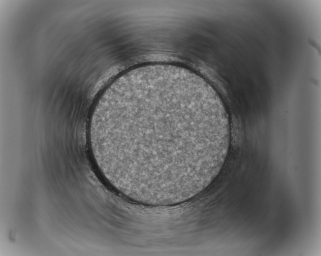X0000102400015200808221858