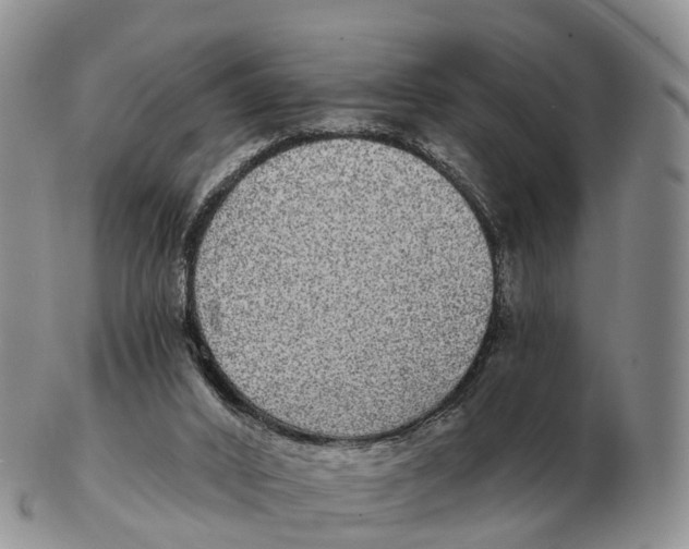 X0000102400016200808221858