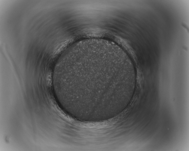 X0000102400017200808221858