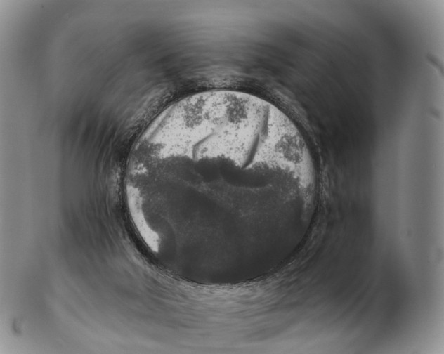 X0000102400018200808221858